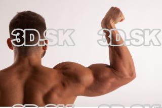Arm muscles anatomy reference of bodybuilder Harold 0010